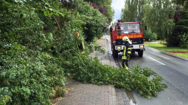 Feuerwehreinsatz in Brettorf: Ein Baum war am Montag, 27. Juli, auf die Straße gestürzt. 