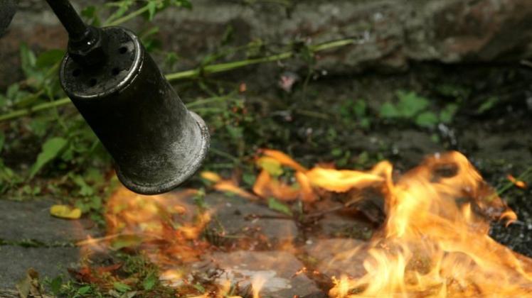 Bei Arbeiten mit einem Brenner hat ein Delmenhorster eine Pflanze in seinem Garten in Brand gesetzt. Symbolfoto: dpa