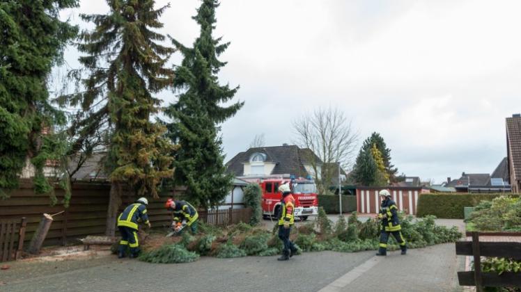 An der Hiltrudstraße in Delmenhorst drohte am Dienstagmorgen ein Baum umzustürzen. Die Feuerwehr fällte den Baum zur Sicherheit und zerlegte ihn in kleine Teile. 