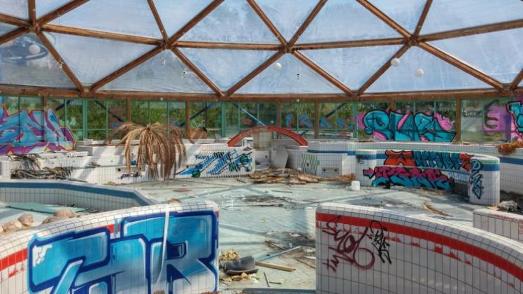 Eine vollkommen verdorrte Palme inmitten von Schwimmbadkacheln. Das Web-Magazin „Rottenplaces“ würdigt Deutschlands Ruinen. Fotos: www.rottenplaces.de/André Winternitz