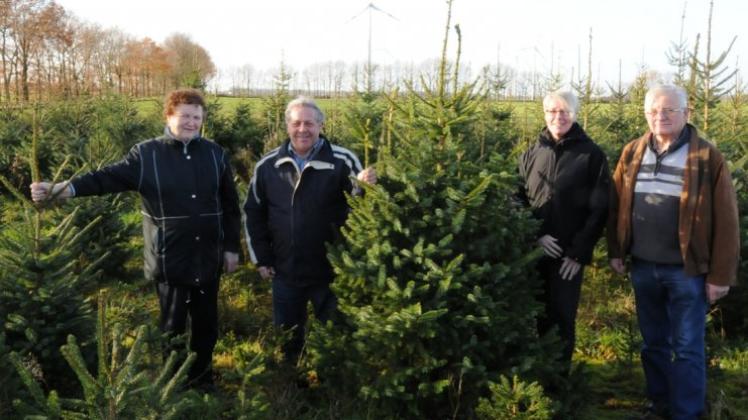 Wollen möglichst viele Weihnachtsbäume verkaufen (von links): Josefa Korte, Hans Kerssens, Petra Walker und Josef Behrens. 
