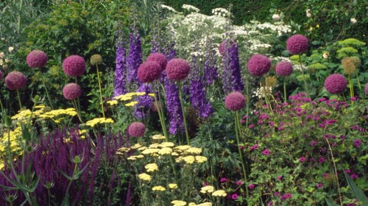 Blütenpracht in Great Dixter: Dichte Bepflanzung zeichnet die englische Gartenkultur aus. 