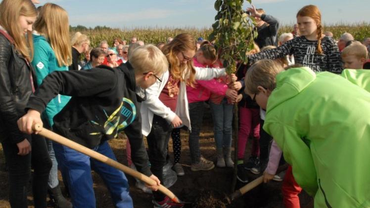Als Symbol für Gemeinschaft und die Zukunft pflanzten die Kinder des Chores MessSingers einen Baum nahe der Gedenktafel auf dem Flugplatz Plantlünne. 