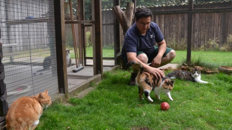 Das Tierheim in Bergedorf soll laut Tierheimleiter Mark Ungnade nach dem Neubau des Katzenhauses siebzig bis einhundert Katzen mehr aufnehmen können. 