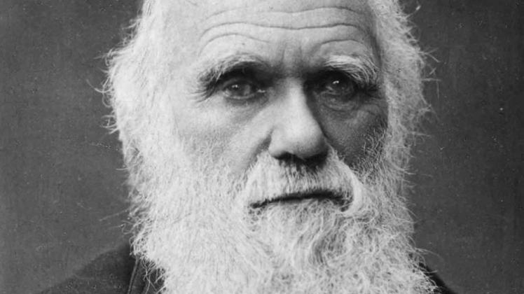 Der Preis ist benannt nach Charles Darwin (Foto), dem Erfinder der natürlichen Auslesen. Hinter dieser Namensgebung steckt der Gedanke, dass Menschen, die sich aus Dummheit selbst töten, damit die Verbreitung ihres Erbguts verhindern. 
