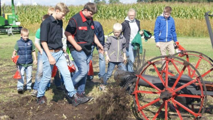 Kinder können in die Kartoffelernte einsteigen, während die Eltern eine Runde über das Ausstellungsgelände der Landtage Nord drehen. Kinder können in die Kartoffelernte einsteigen, während die Eltern eine Runde über das Ausstellungsgelände der Landtage Nord drehen.