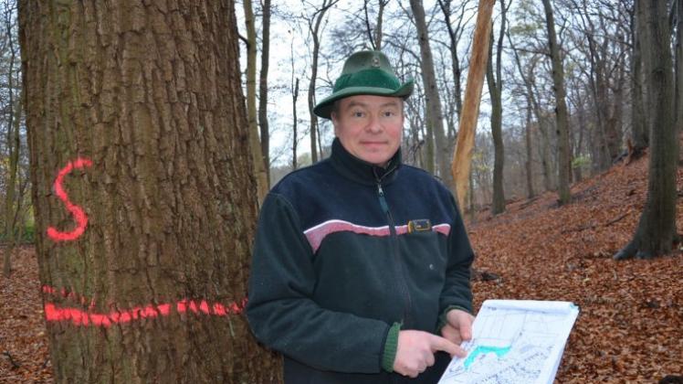 Bezirksförster Martin Meyer Lührmann zeigt das Gebiet am Wiederhall, wo Bäume gefällt werden sollen. Der Förster steht neben einem schlagreifen Baum im Hintergrund ist ein toter Baum zu erkennen. 