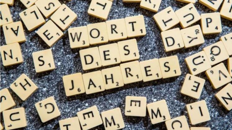 Die Jury der Gesellschaft für deutsche Sprache musste aus rund 2500 Vorschlägen das «Wort des Jahres» wählen. 