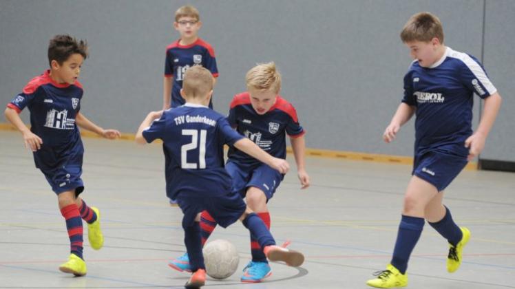 Engagiert: F-Junioren des VfL Stenum III (blau-rote Trikots) und des TSV Ganderkesee II. Foto Rolf Tobis