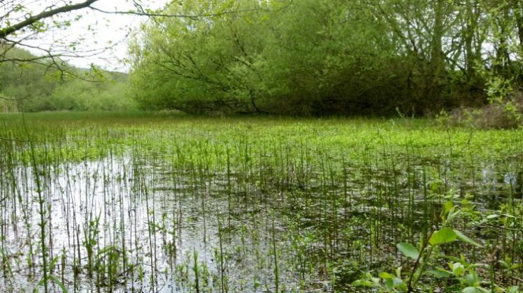 Hasesee in Wellingholzhausen darf ungestört