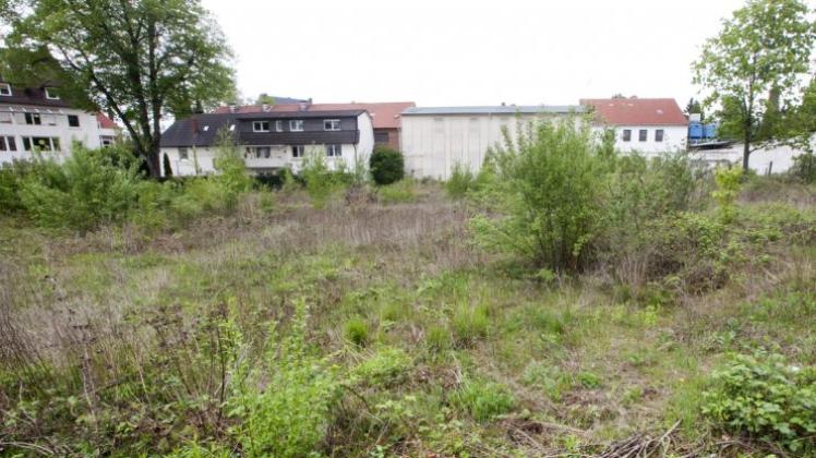 Weg mit dem Gestrüpp: Auf dem ehemaligen Kühne-Gelände an der Bohmter Straße im Osnabrücker Stadtteil Gartlage können demnächst neue Wohnungen entstehen. 