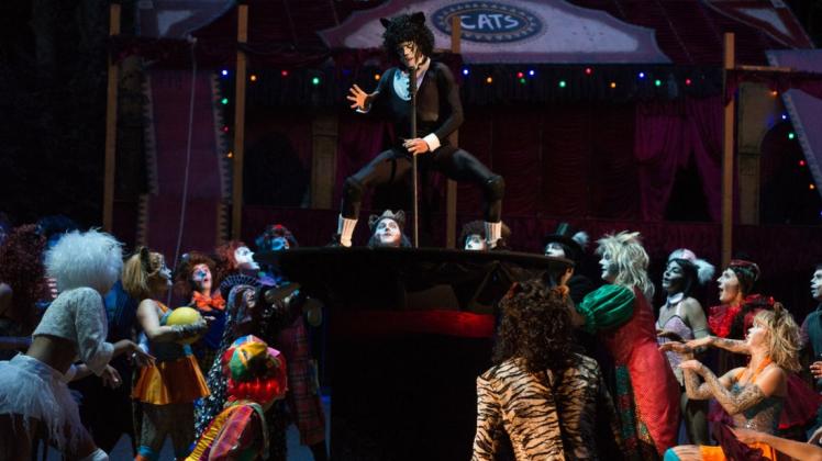 Ensembleleistung: Musicaldarsteller und Akrobaten machen Cats in Tecklenburg zu einem Erlebnis, das so noch nie wurde. Auf dem Hut: Zauberkater Mr. Mistoffelees (David Pereira). 