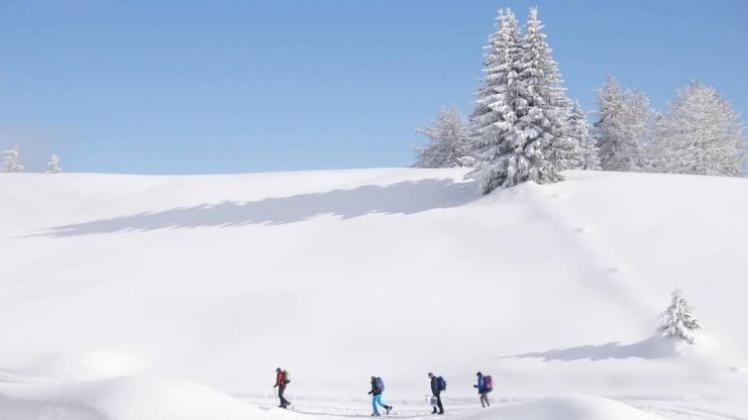 Inbegriff der Schönheit und der Unschuld - das reine Weiß: Gruppe von Schneeschuhwanderern auf weitem Schneefeld 