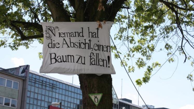 „Niemand hat die Absicht einen Baum zu fällen!“ steht auf dem weißen Tuch, das die Aktivistinnen an den Baum gehängt haben. 