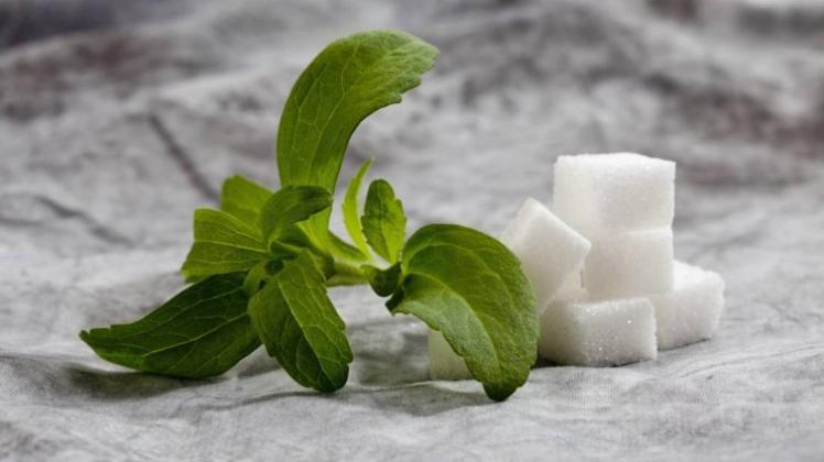 Stevia galt lange als perfekter Zuckerersatz: natürlich süß, null Kalorien. Doch inzwischen gibt es daran erhebliche Zweifel.  