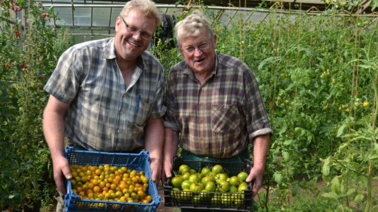 Auf ihrem Hof in Blocken pflanzen Vater Horst und Sohn Björn True 37 Tomatensorten an. 