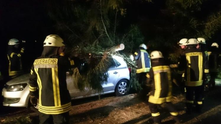 Der umgestürzte Baum hat das Auto in Hatterwüsting massiv beschädigt. 