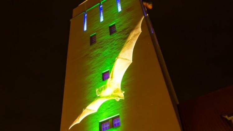 Schaurig-schöne Gruselstimmung: Der Wasserturm und das Rathaus sollen mystisch in Szene gesetzt werden.