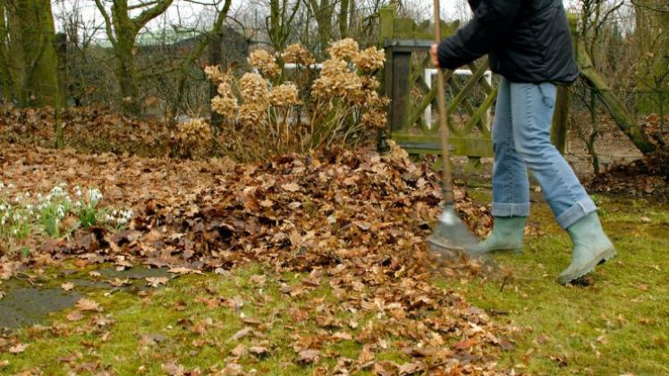 Das ordentliche Kompostieren auf dem eigenen Grundstück werde möglich bleiben, Amtsleiter Dieter Hahn. 