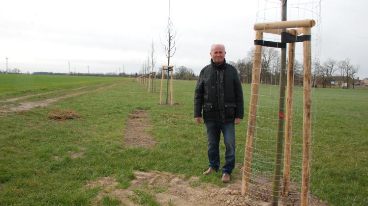 Ortsvorsteher Hans-Ulrich Wolf zeigt die neu gepflanzten Bäume auf dem Feldweg bei Blüthen