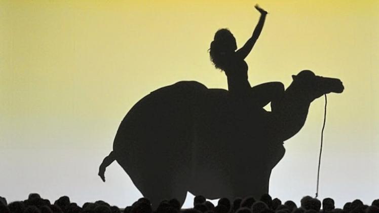 Körper verwandeln sich in Silhouetten von Tieren, Menschen oder Maschinen: In „Amazing Shadows“ schaffen die Schattenkünstler von Catapult Entertainment faszinierende Welten auf der Leinwand. Foto: Agentur Körper verwandeln sich in Silhouetten von Tieren, Menschen oder Maschinen: In „Amazing Shadows“ schaffen die Schattenkünstler von Catapult Entertainment faszinierende Welten auf der Leinwand. Foto: Agentur