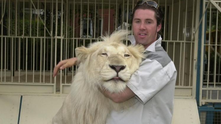 Star-Dompteur Martin Lacey jr. vom Circus Krone mit dem weißen Löwen „King Tonga“. 