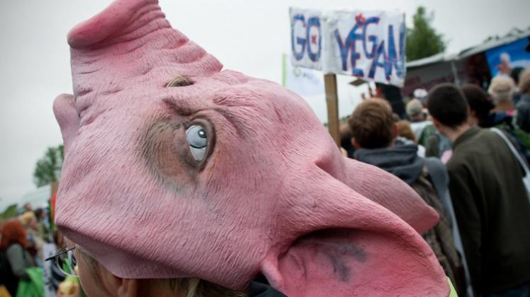 Brandenburg: Eine Demonstrantin mit einer Schweinsmaske steht in Haßleben auf der Demonstration gegen Massentierhaltung. Unter dem Motto „Wir haben es satt“ demonstrieren Gegner der Massentierhaltung gegen die geplante Schweinemastanlage einer niederländischen Firma mit 37.000 Plätzen. 