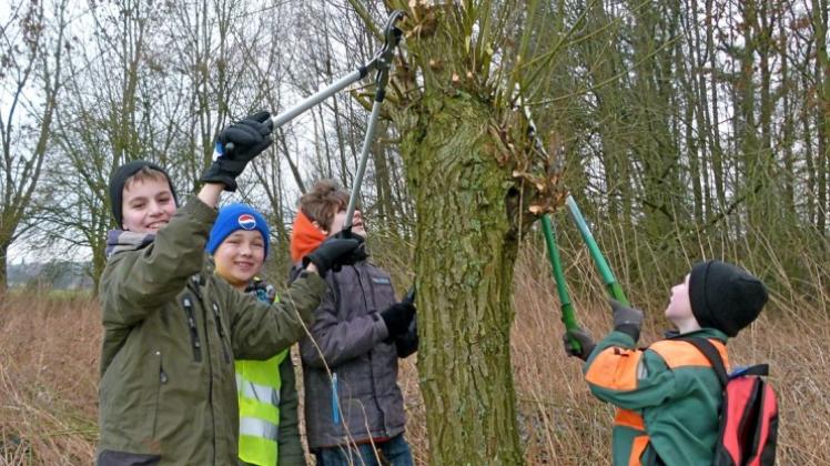 Bad Iburg Weiden am Glaner Bach erhielten kahle NOZ