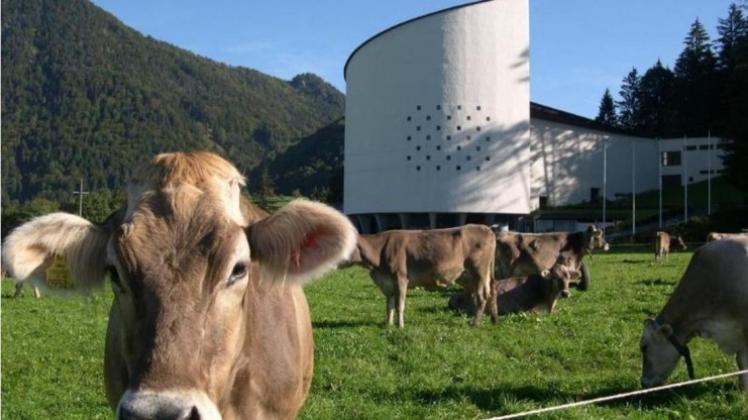 In dem kleinen deutsch-österreichischen Grenzort Erl am Inn wurden mit Bartóks «Blaubart» und Orffs «Carmina» die Tiroler Festspiele eröffnet. In dem kleinen deutsch-österreichischen Grenzort Erl am Inn wurden mit Bartóks «Blaubart» und Orffs «Carmina» die Tiroler Festspiele eröffnet.