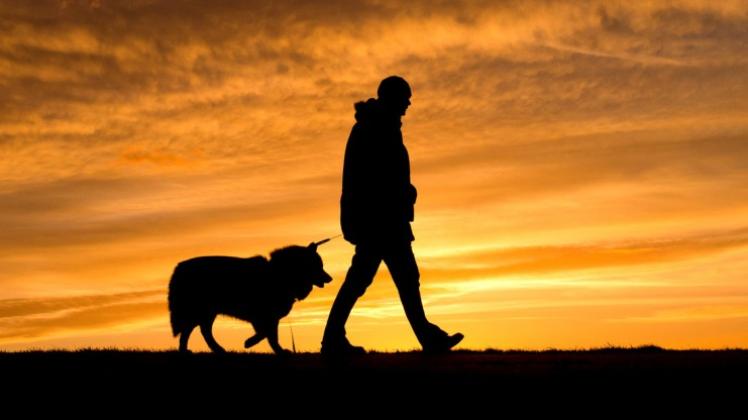 Die Silhouette eines Mannes mit einem Hund. Zwei Hundehalter wehren sich gerichtlich gegen die geplanten Pflichten des neuen niedersächsischen Hungegesetzes. 