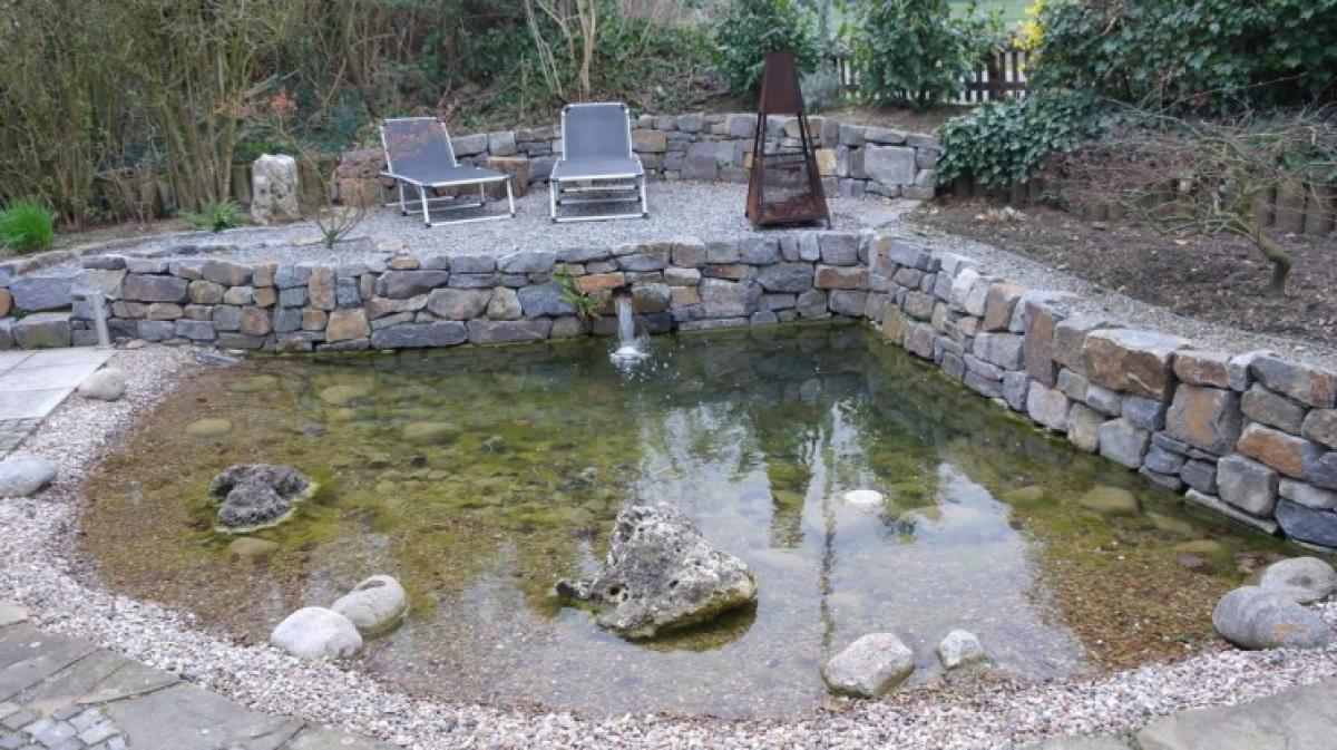 Vielfalt Gartenteich NOZ