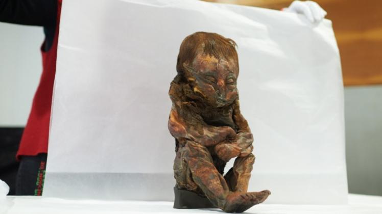 Die «The Detmold Child» genannte Mumie wird im Lippischen Landesmuseum in Detmold gezeigt. 