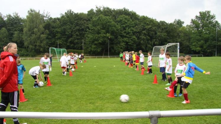Begeisterung verbreiteten die Übungen der Sparkassen-Fußballschule des NFV bei den Nachwuchskickern in Melle. Begeisterung verbreiteten die Übungen der Sparkassen-Fußballschule des NFV bei den Nachwuchskickern in Melle.