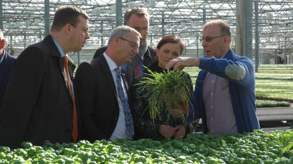 Papenburger Gärtner gibt BioProduktion wieder NOZ