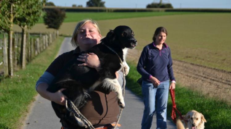 Auch der Hund einer Hundetrainerin möchte mal auf den Arm: Marleen Senne trägt Australian Shepherd Dee spazieren. Fotos: Stephanie Uhlhorn
