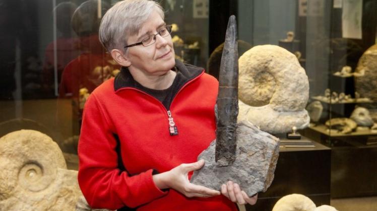 Einen 170 Millionen Jahre alten Donnerkeil präsentiert Angelika Leipner vom Museum am Schölerberg, die mit ehrenamtlichen Helfern die Boerse organisiert.Foto Jörn Martens