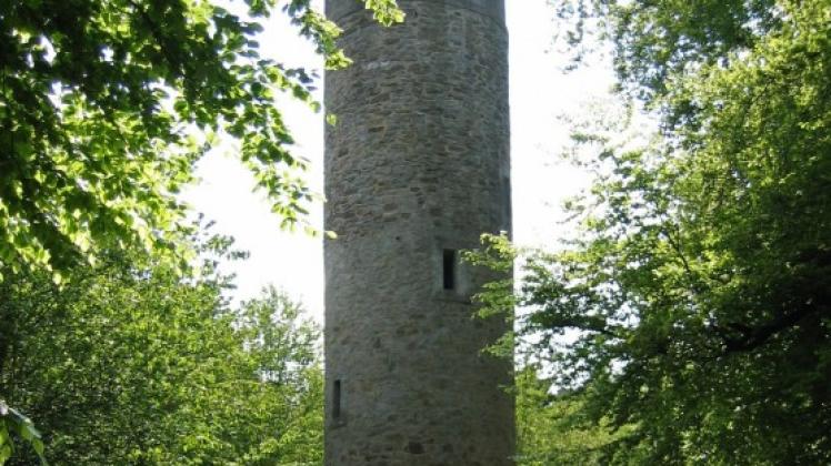 Beeindruckendes Bauwerk: Der Aussichtsturm auf dem Nonnenstein ist eines der Ziele bei der nächsten Naturführung. 