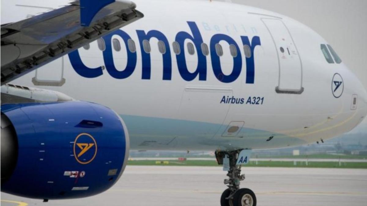 Condor Zeichen «Focus»: Condor führt neuen Gepäcktarif