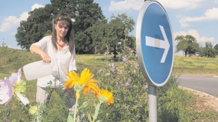 Den Außenring des Kreisels „Im Knühl“ pflegt Gisela Knopff-Fäustlin ehrenamtlich; sie gibt hier Naturwiesenblumen Vorrang. Fotos: Norbert Wiegand
