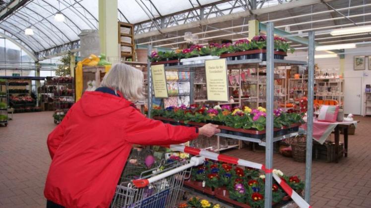 Jetzt endgültig Gartencenter sonntags zu Erlass des Landes NOZ