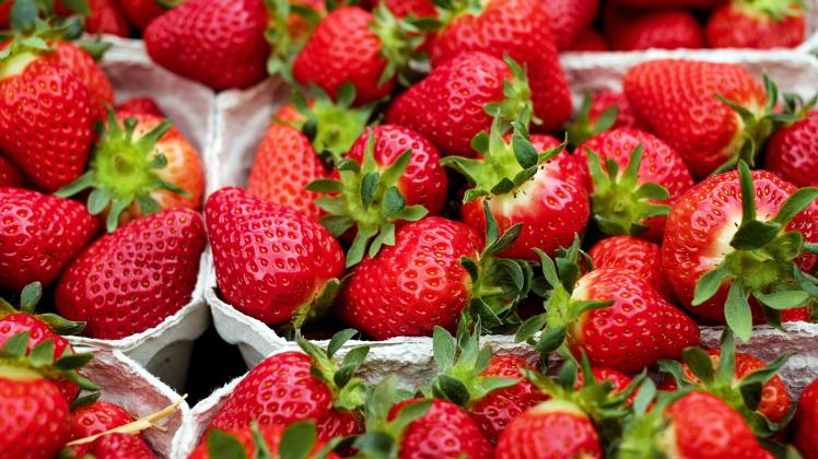 Frische Erdbeeren gehören an Ostern einfach dazu (Symbolbild).