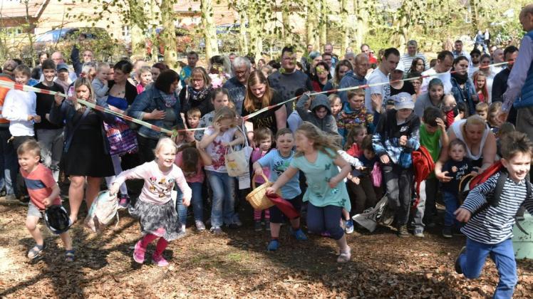 Bei der Ostereier-Suche an Ostern 2019 waren die Kinder ganz wild auf die glitzernden Schokoeier.