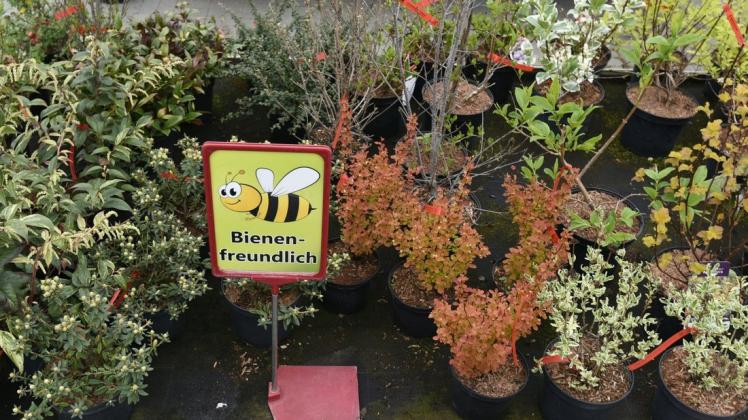 Viele Kunden fragen für ihre Gärten nach bienenfreundlichen Pflanzen wie Sauerdorn, Hortensie oder Buschgeißblatt.