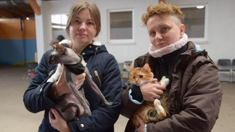 Die beiden ukrainischen Frauen sind vor dem Krieg in ihrer Heimat geflüchtet. Alyona (l.) aus Orekhov  und ihre Katze "Bonita"  sowie Anastasia aus Charkiw und ihre Katze "Vasya" haben in Gettorf einen Platz in der Sammelunterkunft bekommen.