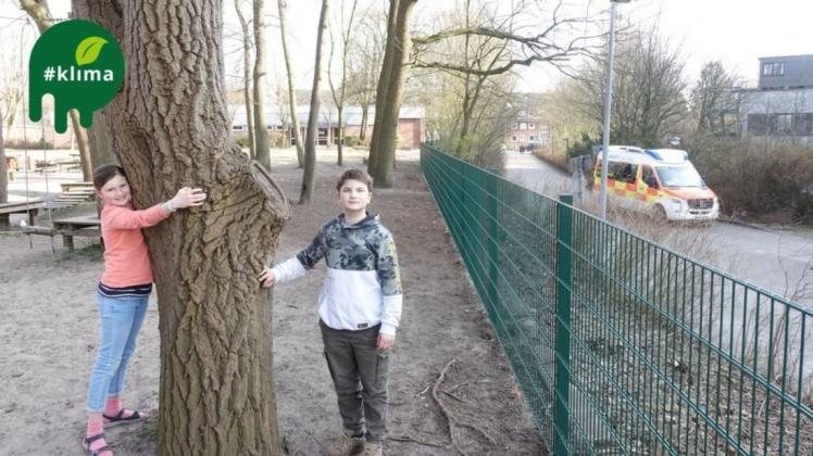 Der Kinderschutzbund sieht ein Fällen der Bäume in Zeiten der Klimakrise als fragwürdig an. Auch die Fünftklässler Julie Siefken und Benjamin Nowak protestieren dagegen.