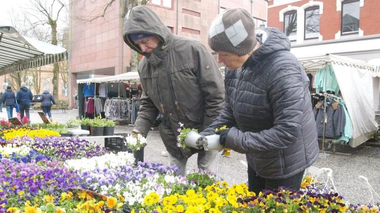 In der Wilhelmstraße: Hornveilchen waren die einzige Blumensorte, die von den Frühlingsmarkt-Besuchern nachgefragt wurde.