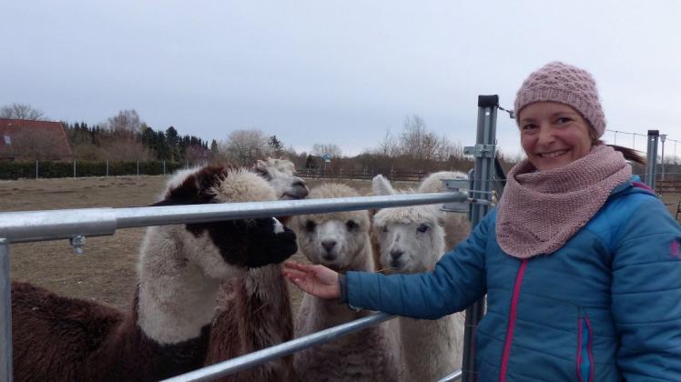Neugierige Begrüßung am Weidetor. Die sechs Alpakas von Linda Ehlermann freuen sich über Besuch, vor allem, wenn die Chefin kommt.