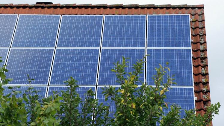 Die Experten erklären im Elmshorner Rathaus, für wenn sich eine Fotovoltaikanlage lohnt.