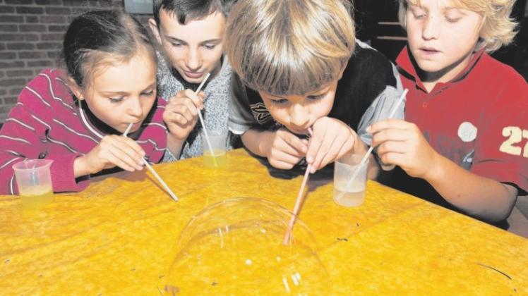 Kein Experiment, aber beim Seifenblasen hatten die Hagener Ferienkinder im Museum am Schölerberg auch viel Spaß. Kein Experiment, aber beim Seifenblasen hatten die Hagener Ferienkinder im Museum am Schölerberg auch viel Spaß.