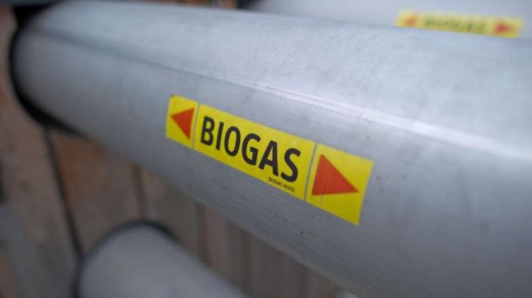 Biogas Foto dpa